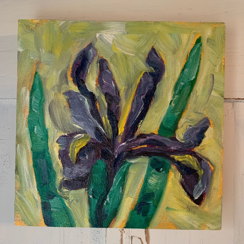 Original oil painting Iris 6x6 Floral